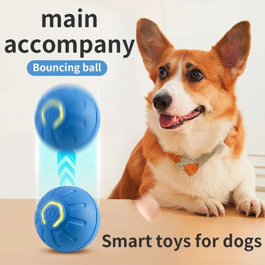 Ball-E Interactive Pet Toy